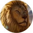 aris lizzi profile picture
